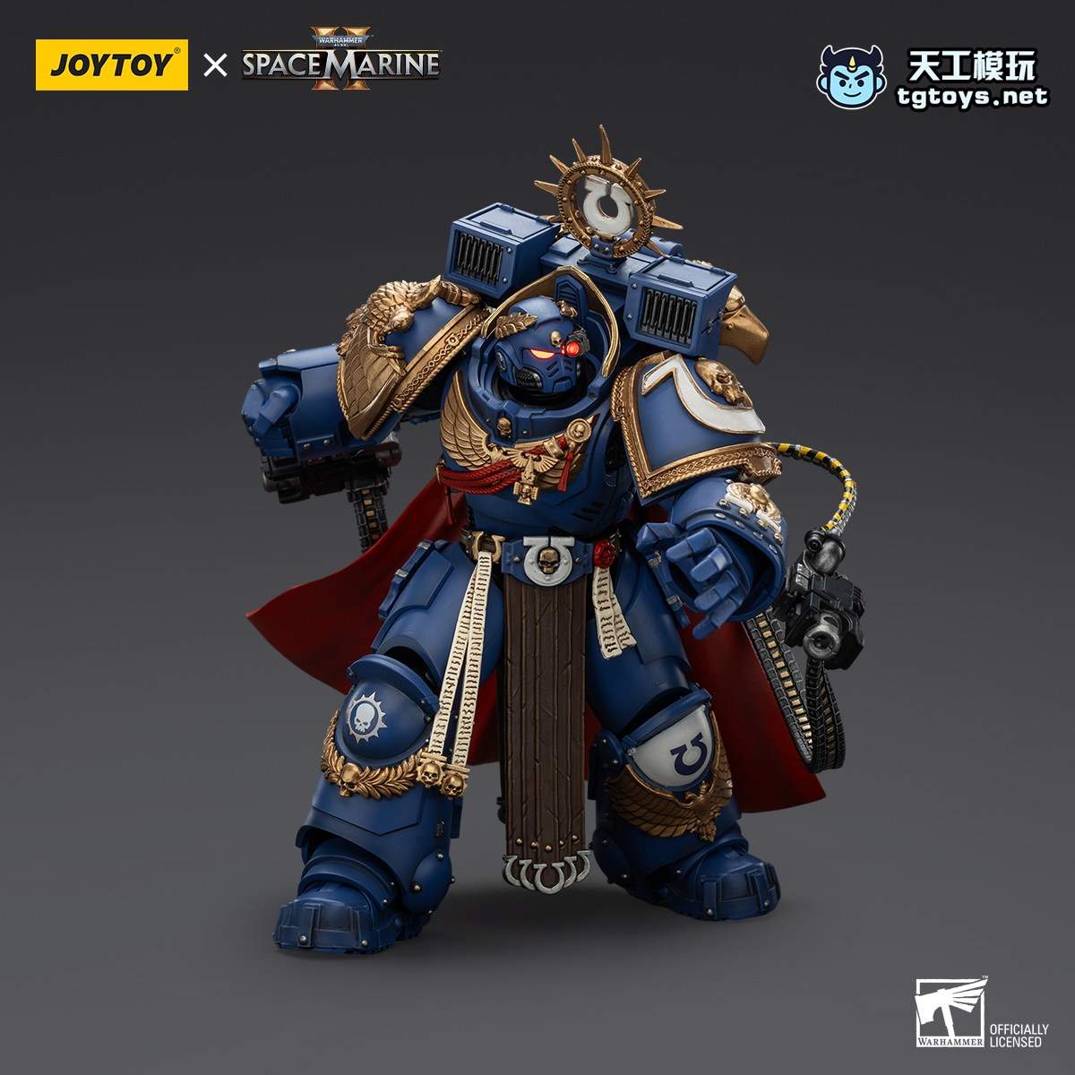 马尔纽斯·卡尔加 缩略图 4