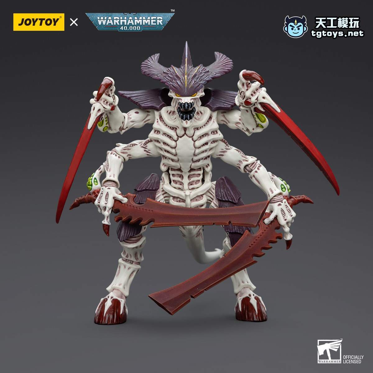 泰伦武士