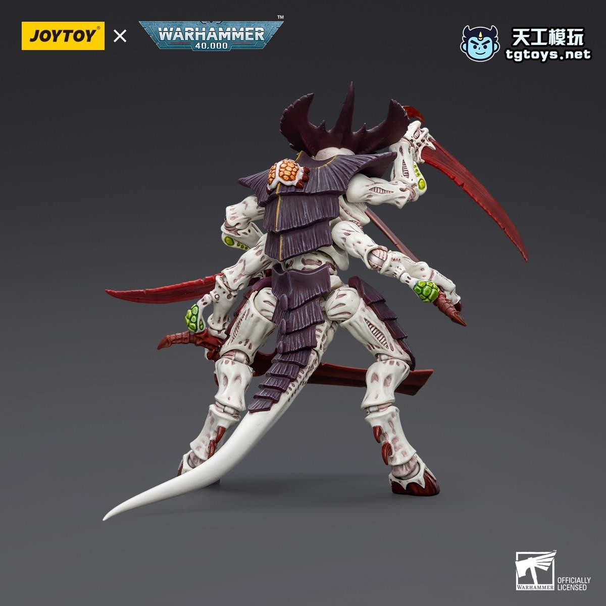 泰伦武士 缩略图 2