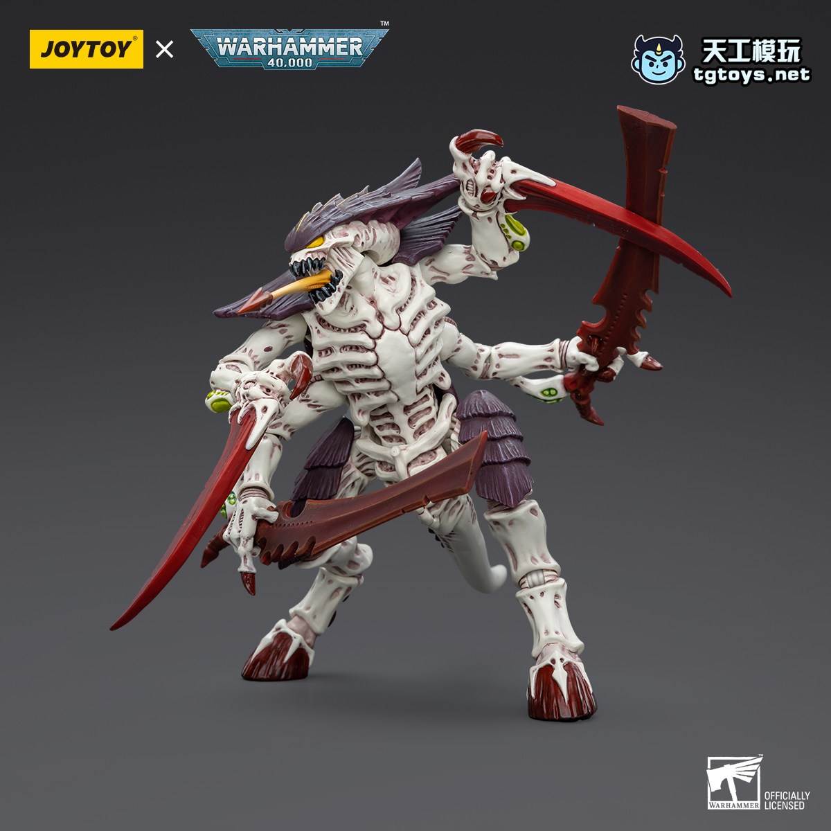 泰伦武士 缩略图 3