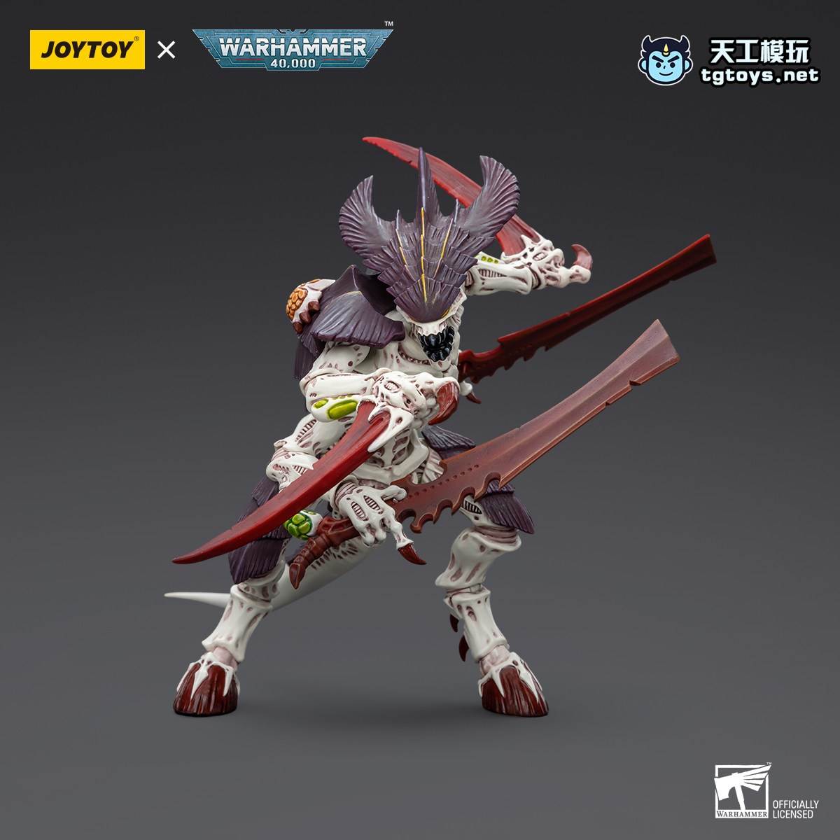 泰伦武士 缩略图 4