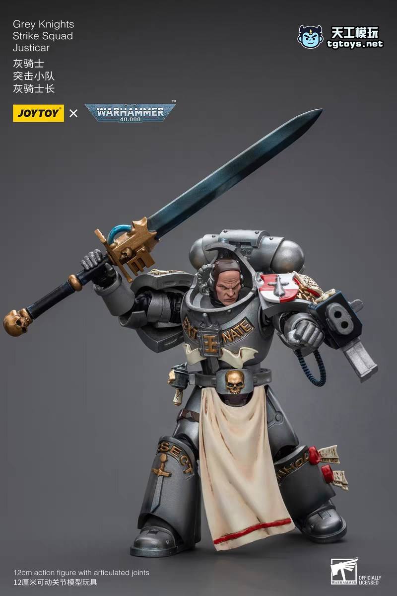 灰骑士 缩略图 3